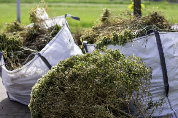Shrubs Removal in Waco