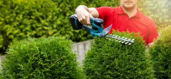 Hedge Shaping Service in Waco