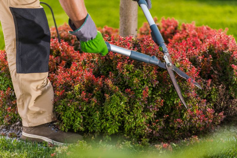 Trimming Bushes Near Walkways