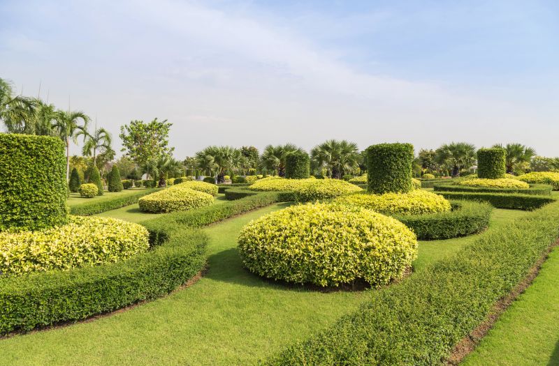 Trimmed Shrubs in Landscape